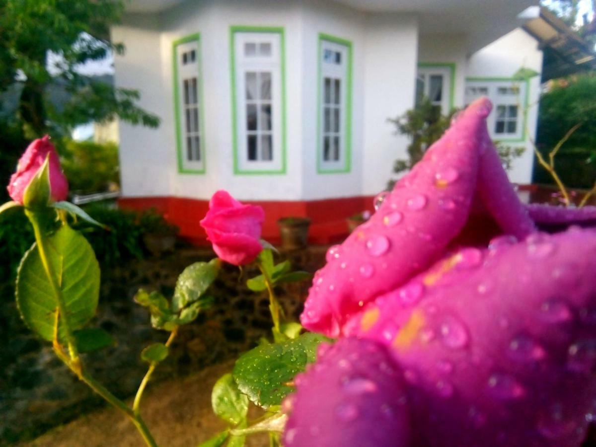 Nuwara Eliya Mountain View Homestay Екстериор снимка